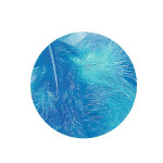 Plume décorative 3-10cm sachet de 10 assorties - Bleu