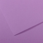 Papier Mi-Teintes 160 g/m² - 50 x 65cm - 113 - Myrtille