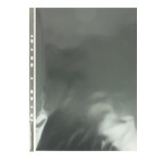 Recharges pour Créabook par 10 - 21 x 29,7 cm (A4)