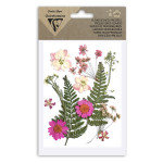 Fleur pressée assortiment Rose 12 pcs